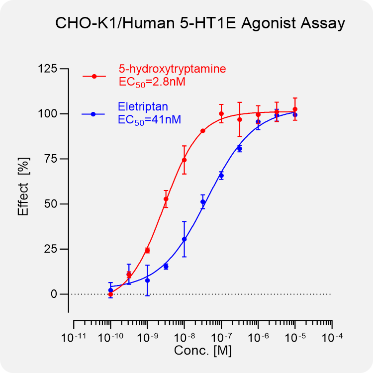 CHO-K1 Human 5-HT1E Stable Cell