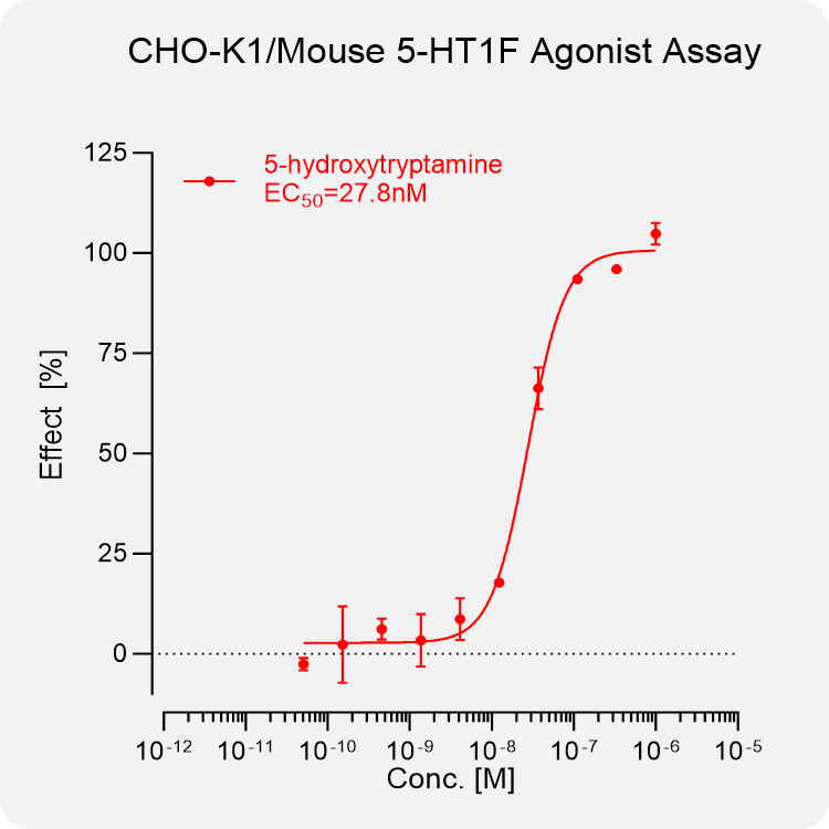 CHO-K1 Mouse 5-HT1F Stable Cell