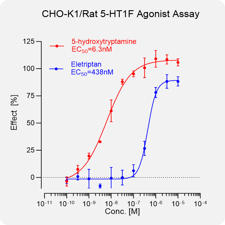 CHO-K1 Rat 5-HT1F Stable Cell
