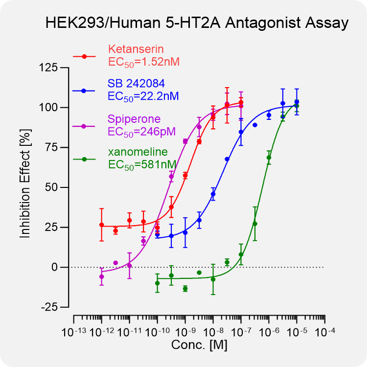 HEK293 Human 5-HT2A Stable Cell