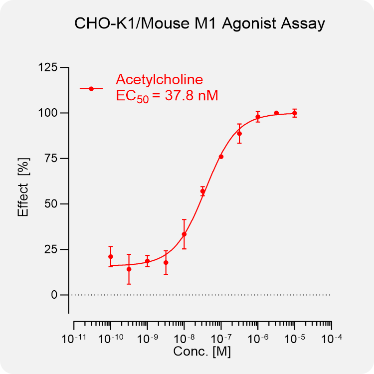 CHO-K1 Mouse M1 Stable Cell