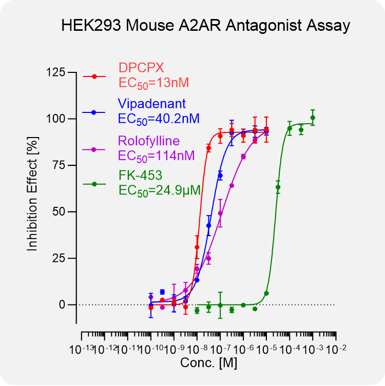 HEK293 Mouse A2AR Stable Cell