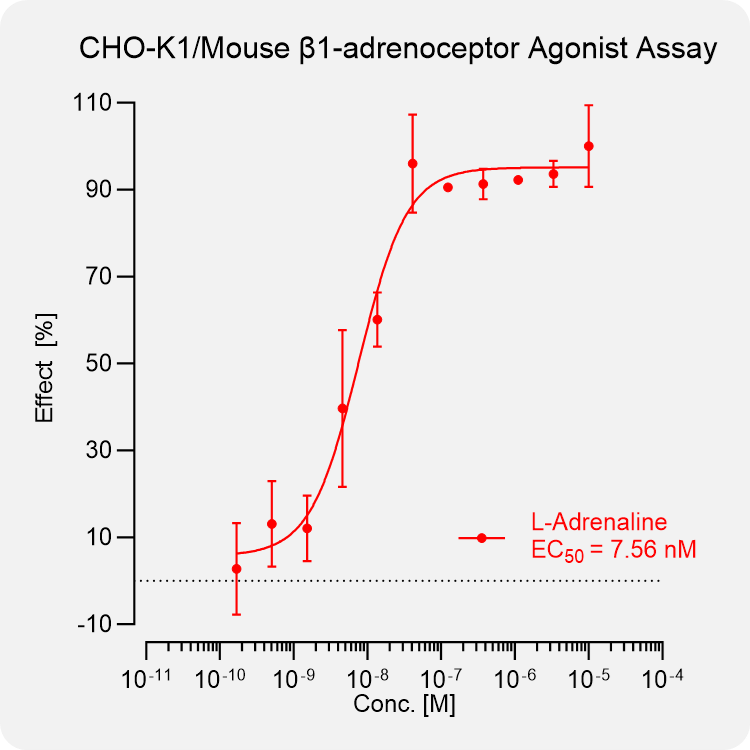 CHO-K1 Mouse β1-adrenoceptor Stable Cell