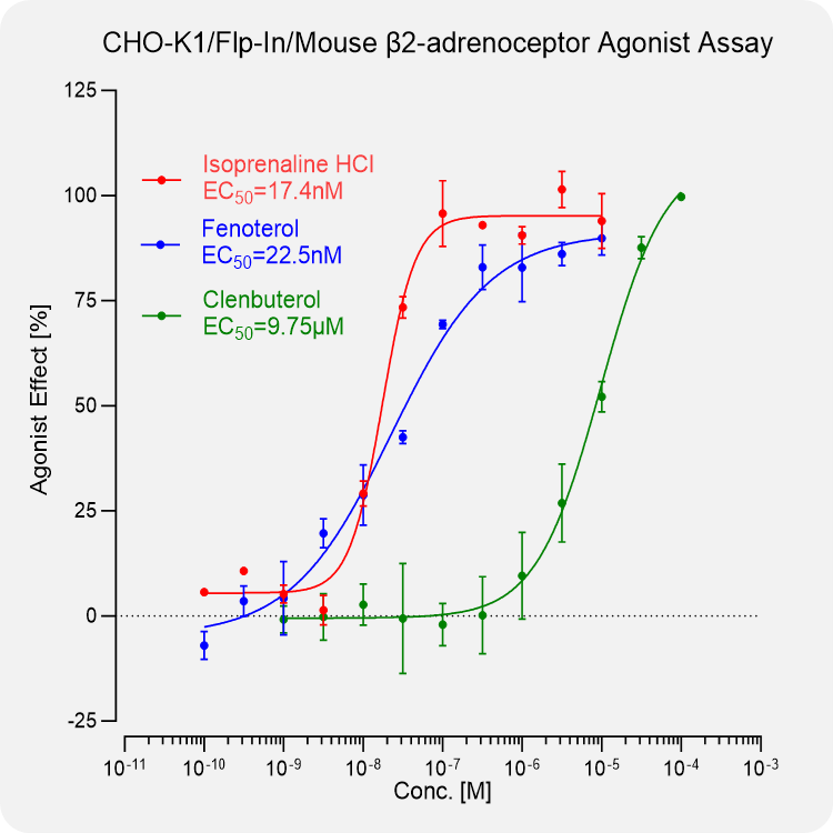 CHO-K1 Mouse β2-adrenoceptor Stable Cell