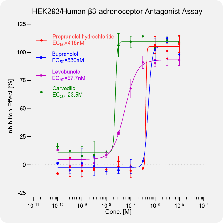 HEK293 Human β3-adrenoceptor Stable Cell