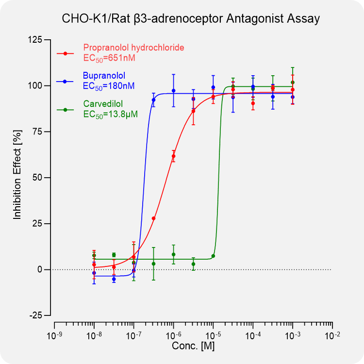 CHO-K1 Rat β3-adrenoceptor Stable Cell