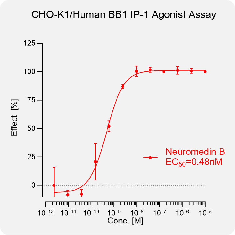 CHO-K1 Human BB1 Stable Cell
