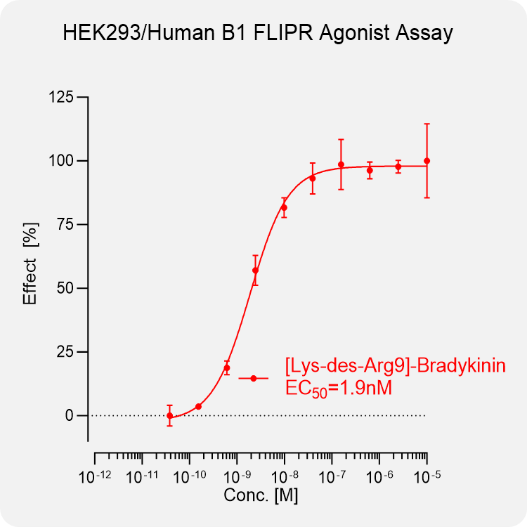 HEK293 Human B1 Stable Cell