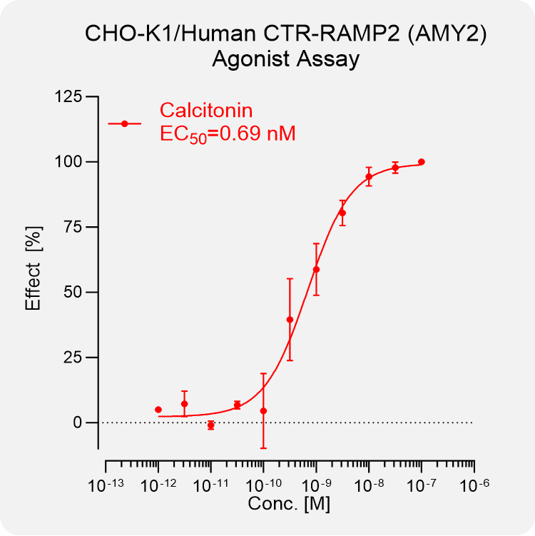 CHO-K1 Human CTR-RAMP2 (AMY2) Stable Cell