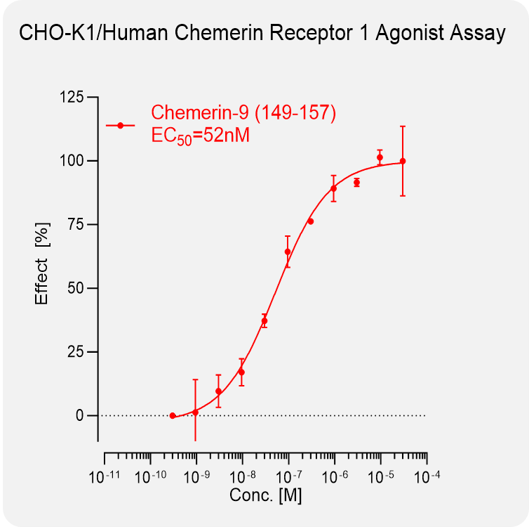 CHO-K1 Human Chemerin 1 Stable Cell