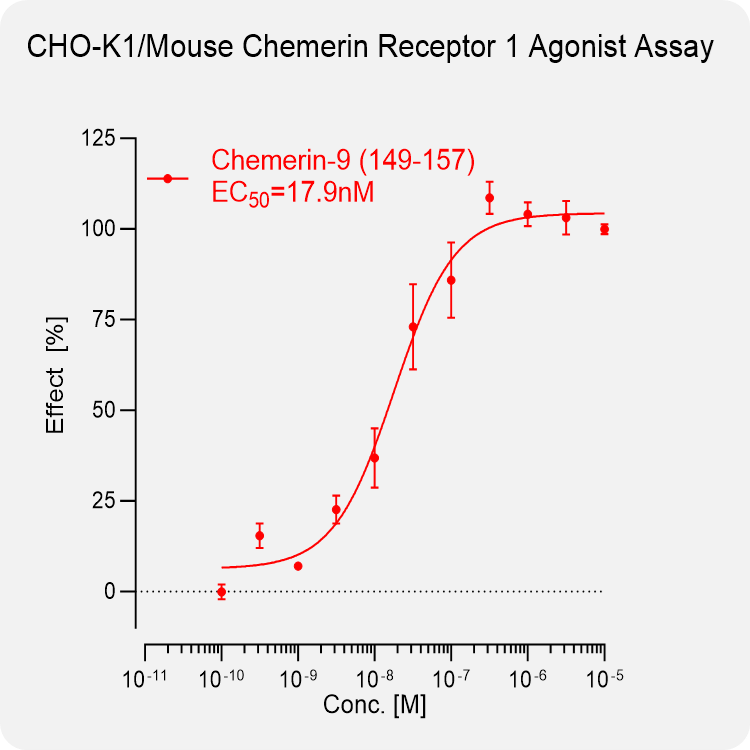 CHO-K1 Mouse Chemerin 1 Stable Cell