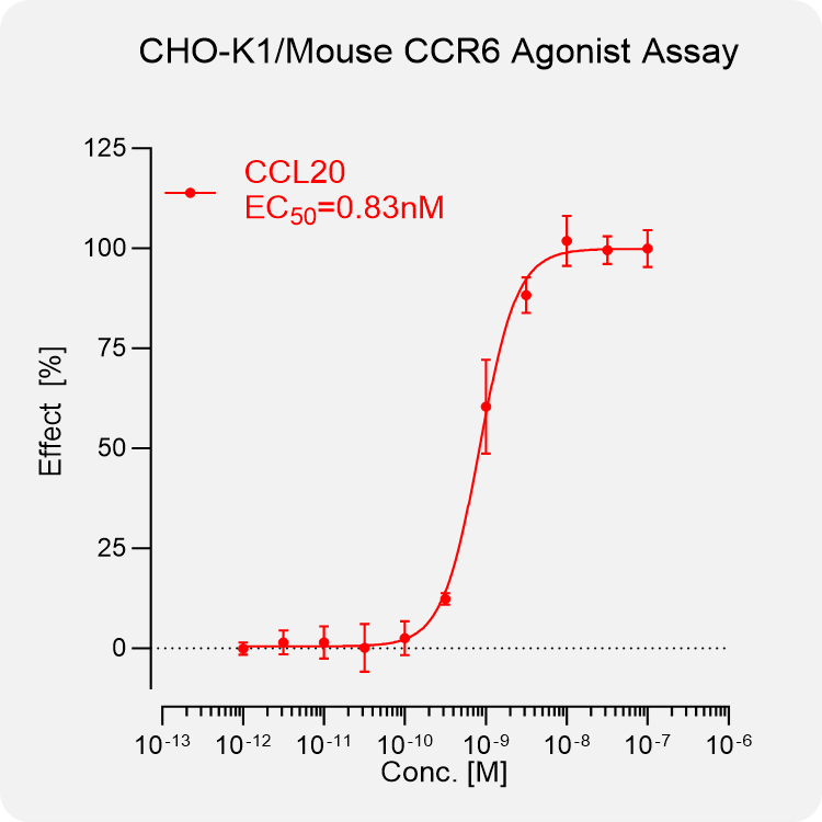 CHO-K1 Mouse CCR6 Stable Cell