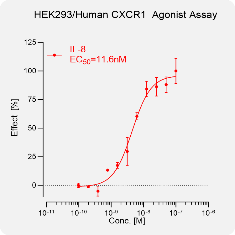 HEK293 Human CXCR1 Stable Cell