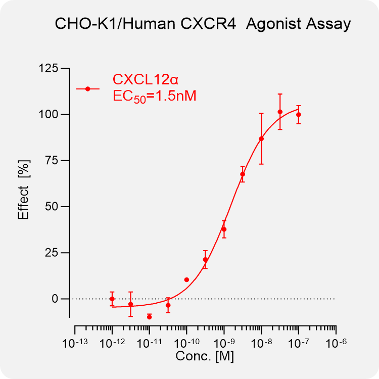 CHO-K1 Human CXCR4 Stable Cell