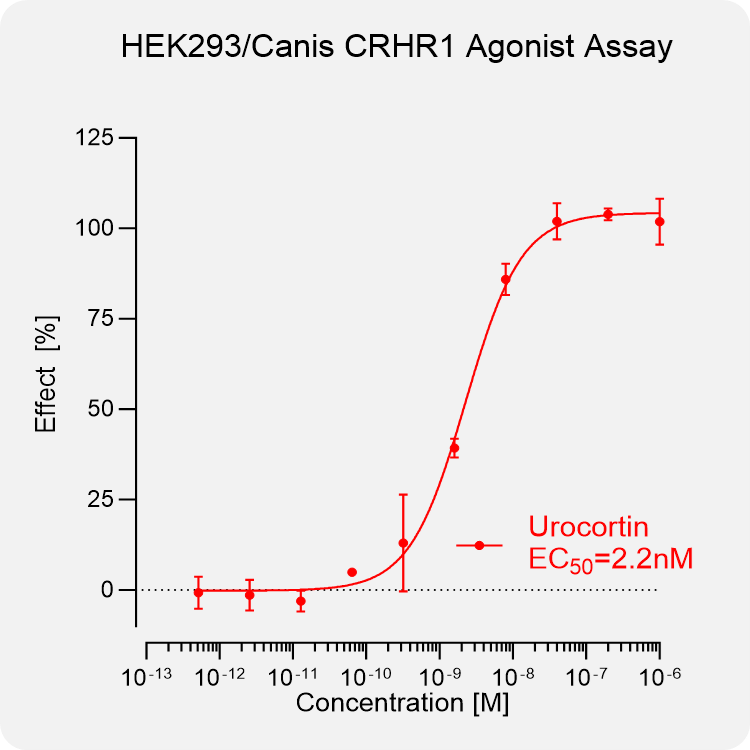 HEK293 Canis CRHR1 Stable Cell