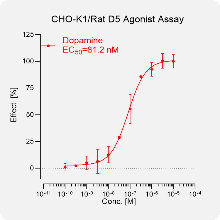 CHO-K1 Rat D5 Stable Cell