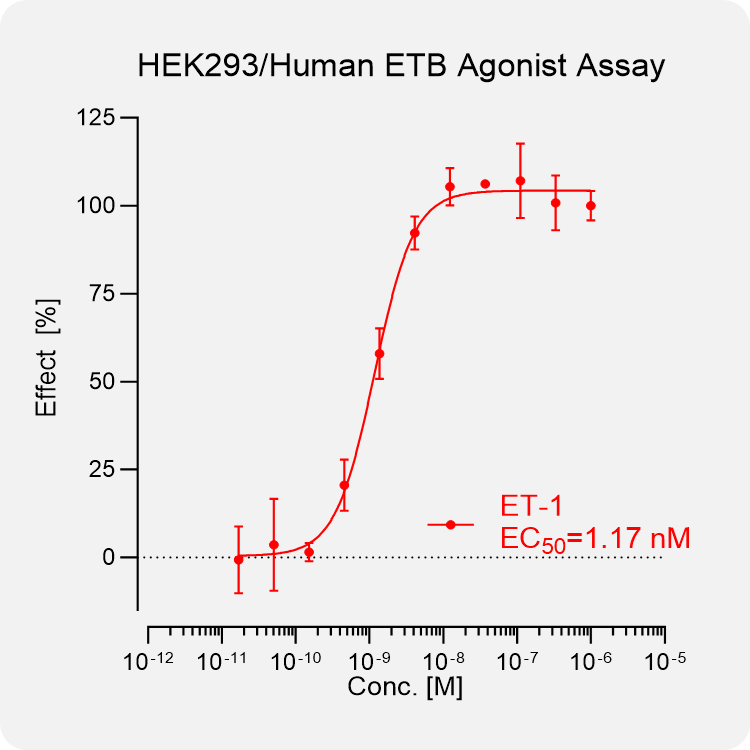 HEK293 Human ETB Stable Cell