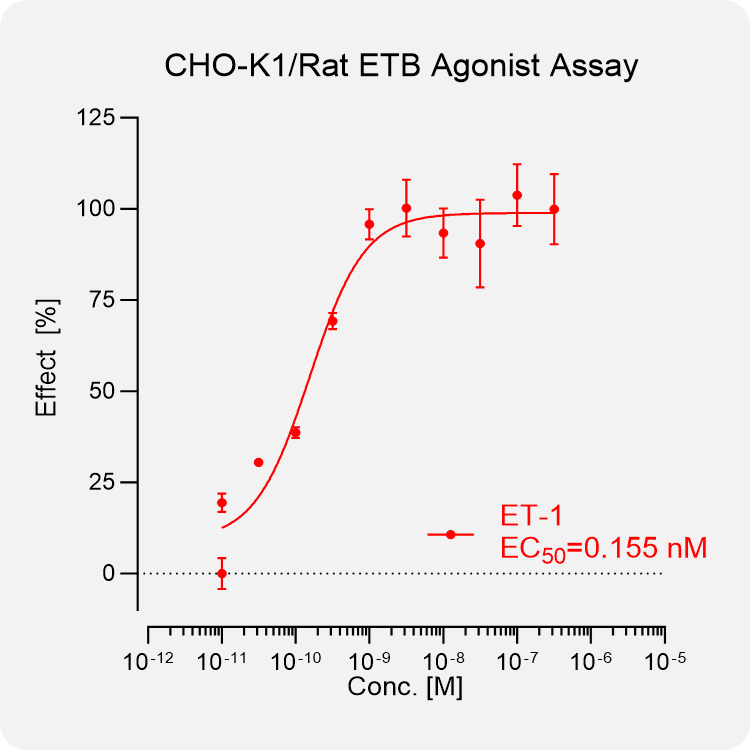 CHO-K1 Rat ETB Stable Cell