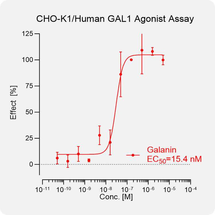 CHO-K1 Human GAL1 Stable Cell