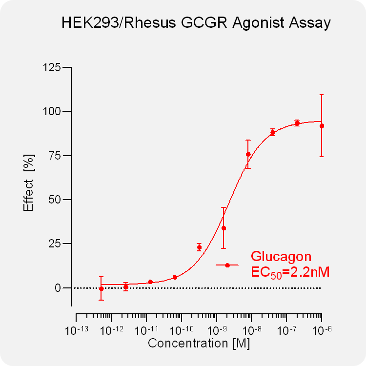HEK293 Rhesus GCGR Stable Cell
