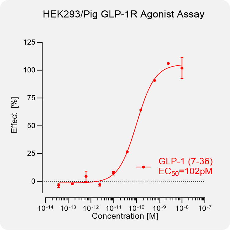 HEK293 Pig GLP-1 Stable Cell