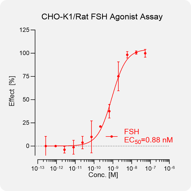 CHO-K1 Rat FSH Stable Cell