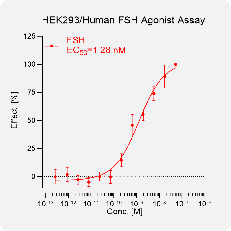 HEK293 Human FSH Stable Cell