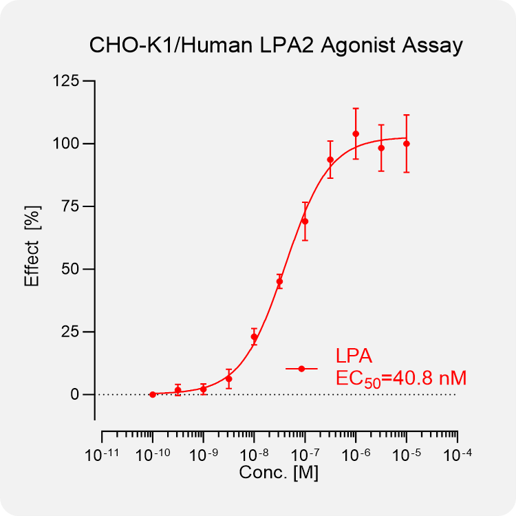 CHO-K1 Human LPA2 Stable Cell