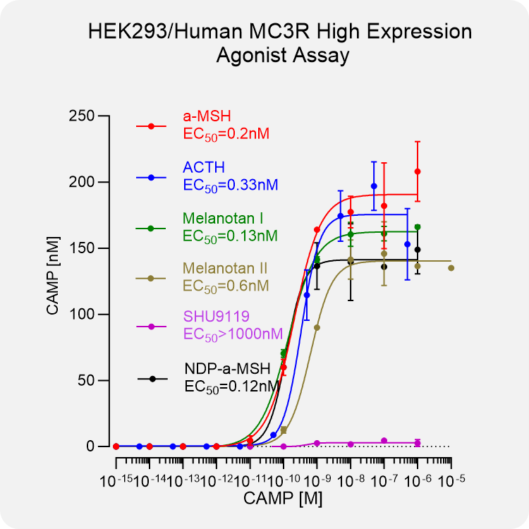 HEK293 Human MC3R High Expression Stable Cell