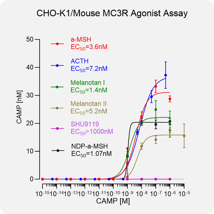 CHO-K1 Mouse MC3R Stable Cell