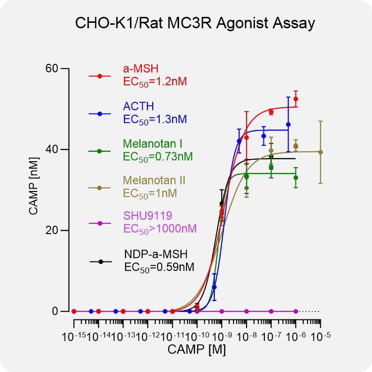 CHO-K1 Rat MC3R Stable Cell