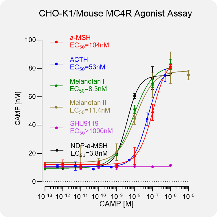 CHO-K1 Mouse MC4R Stable Cell