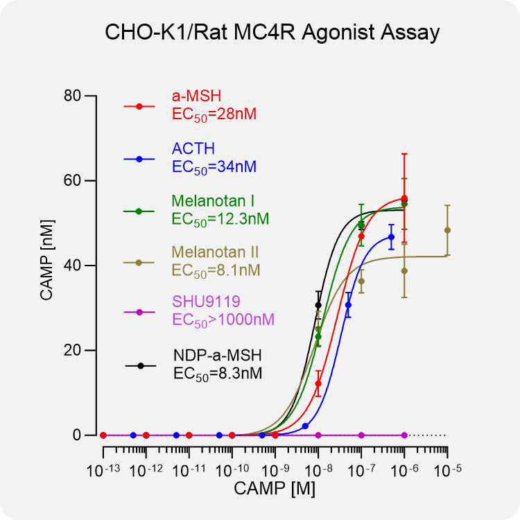 CHO-K1 Rat MC4R Stable Cell