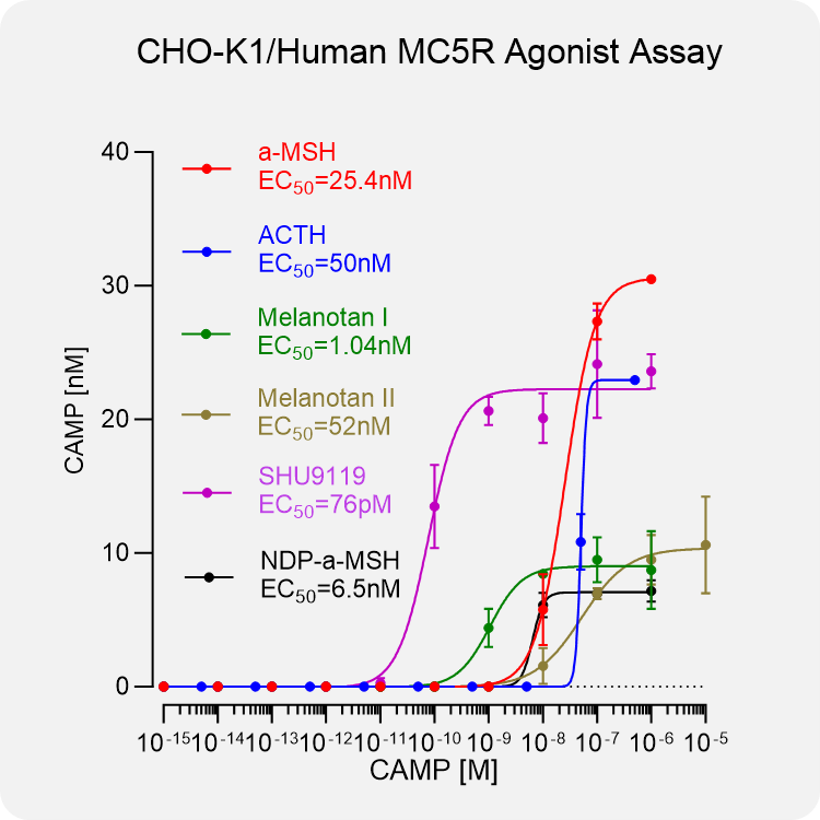 CHO-K1 Human MC5R Stable Cell