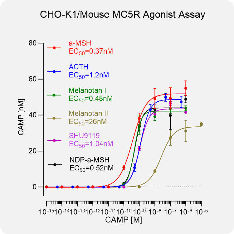 CHO-K1 Mouse MC5R Stable Cell