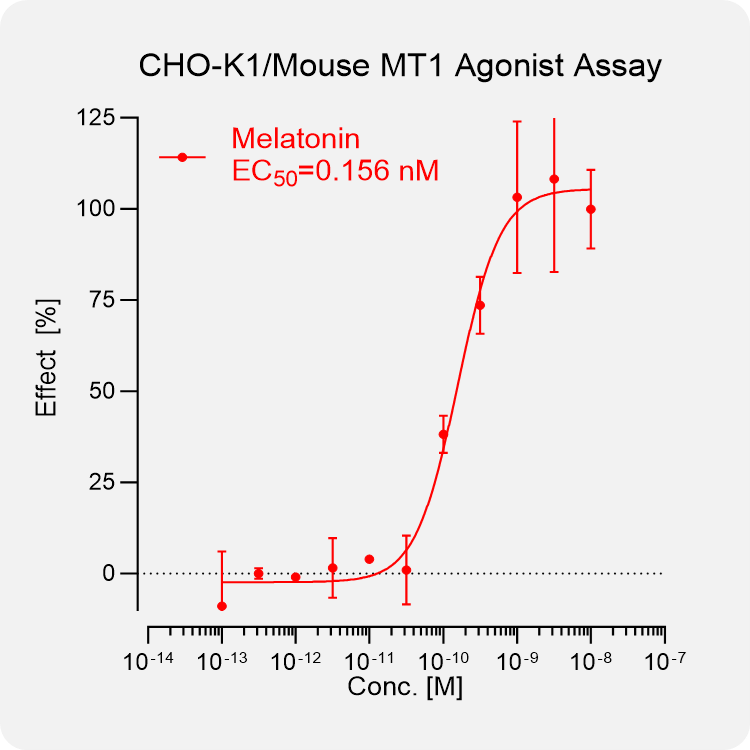 CHO-K1 Mouse MT1 Stable Cell
