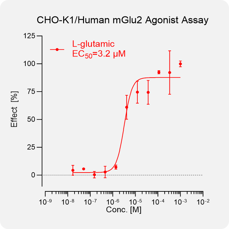 CHO-K1 Human mGlu2 Stable Cell