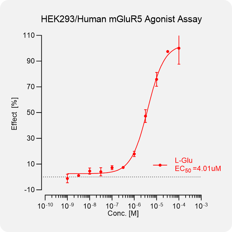 HEK293 Human mGluR5 Stable Cell