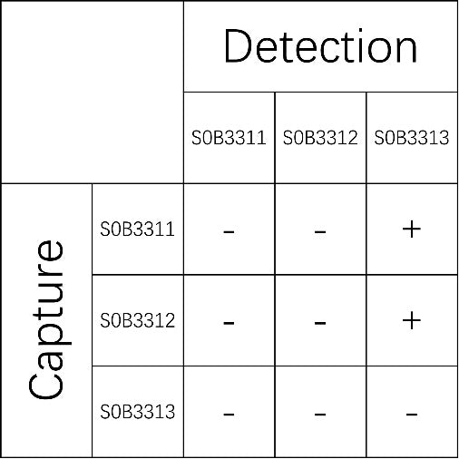 E-selectin Recombinant Rabbit mAb (SDT-1260-46)