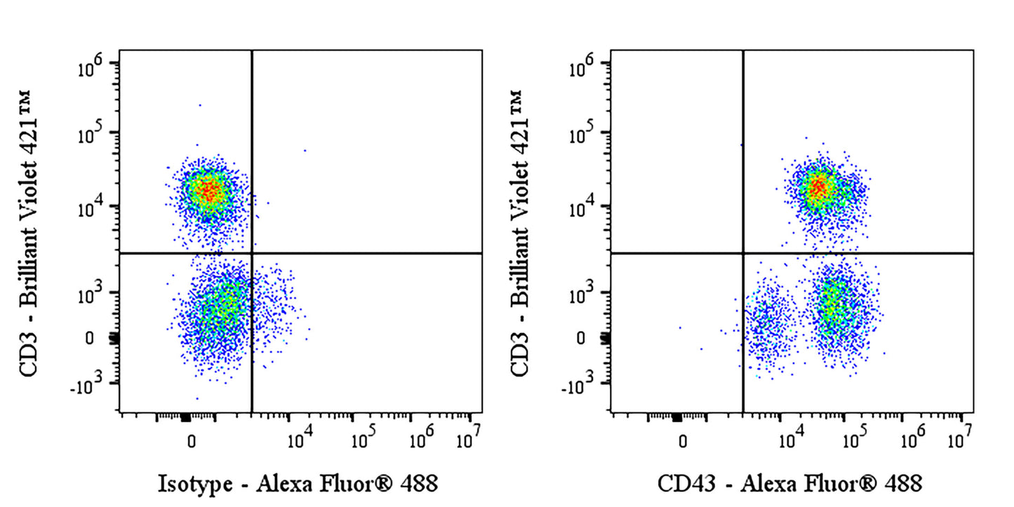 Alexa Fluor® 488 Rabbit Anti-Human CD43 Antibody (S-R101)