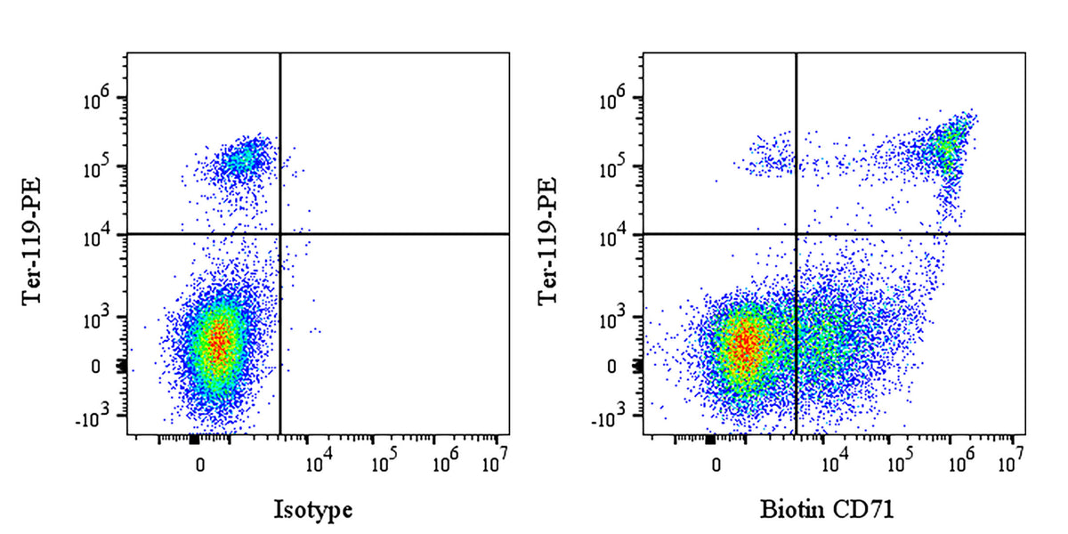 Biotin Rat Anti-Mouse CD71 Antibody (RI7217)