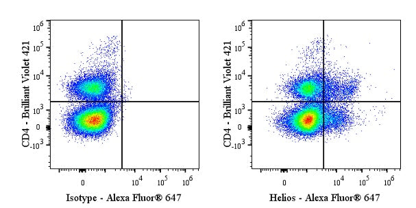 Alexa Fluor® 647 Armenian Hamster Anti-Mouse/Human Helios Antibody (22F6)