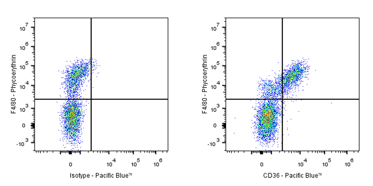 Pacific Blue Armenian hamster Anti-Mouse CD36 Antibody (HM36)