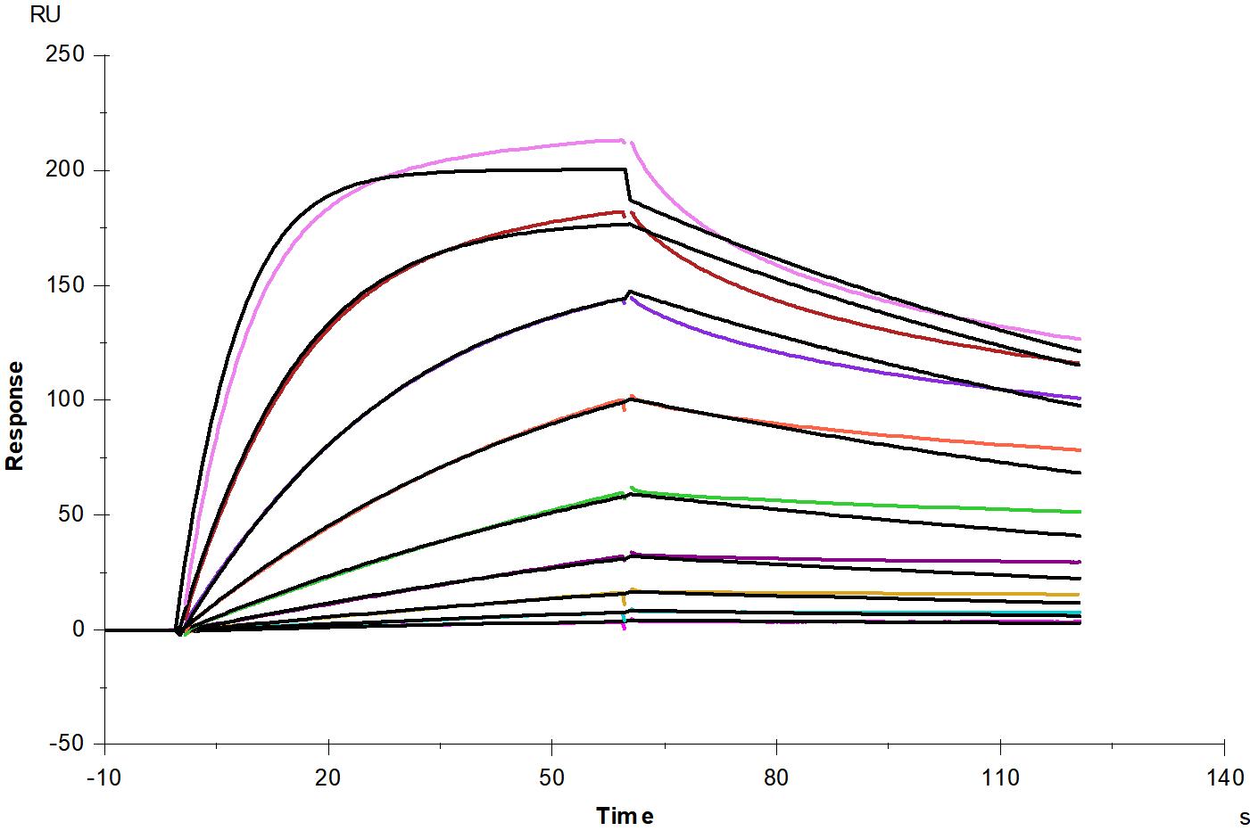 DR3/TNFRSF25 His Tag Protein, Human