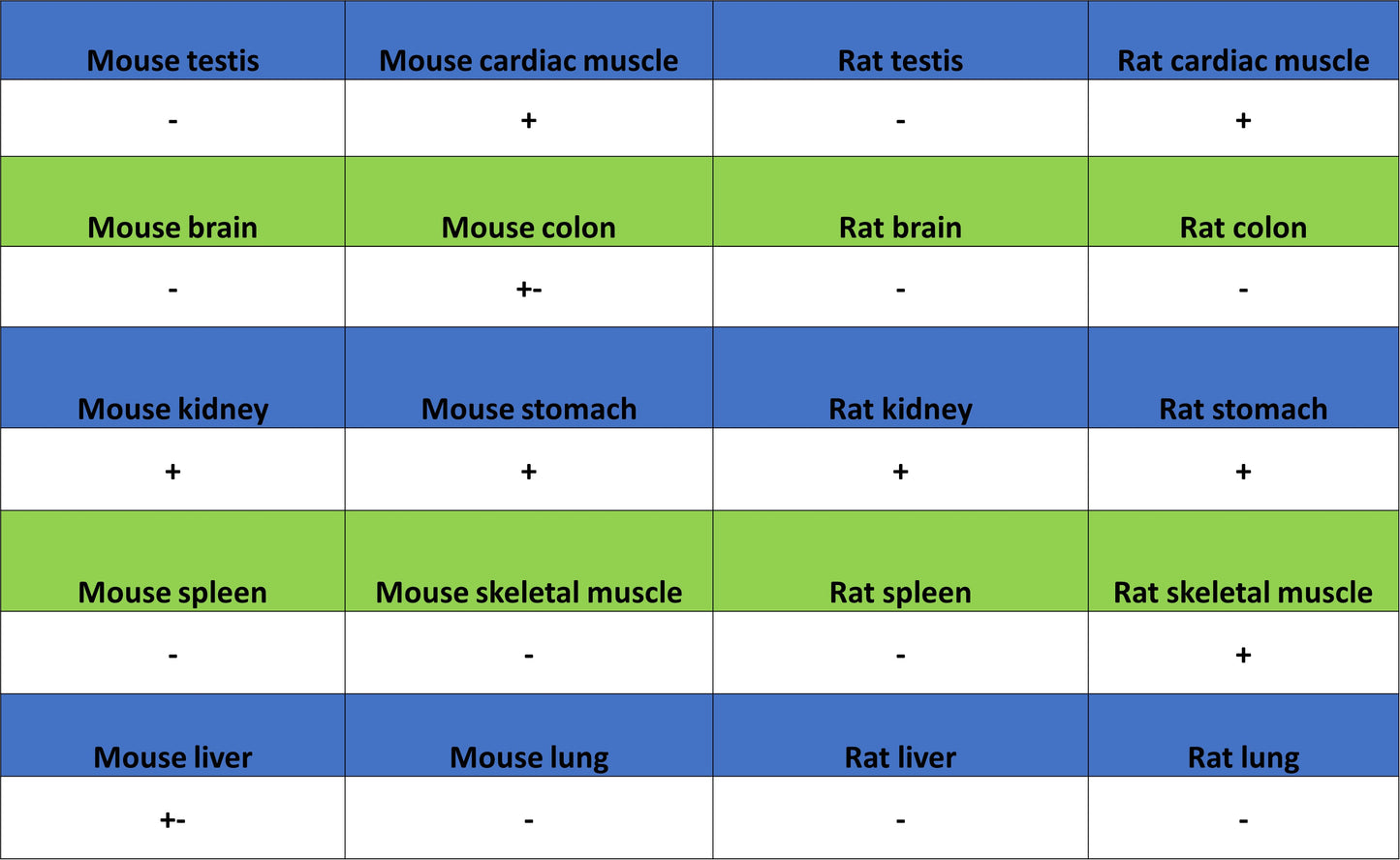 NDUFA9 Recombinant Mouse mAb (S-5382)