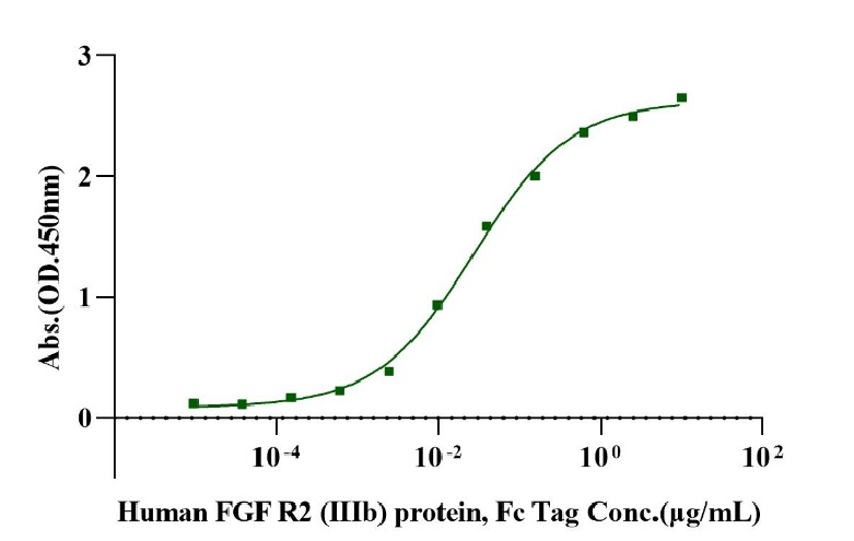 FGF-9 Protein, Mouse
