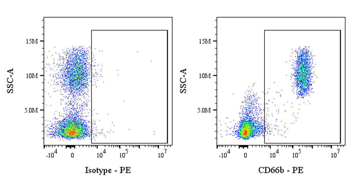 PE Mouse Anti-Human CD66b Antibody (G10F5)