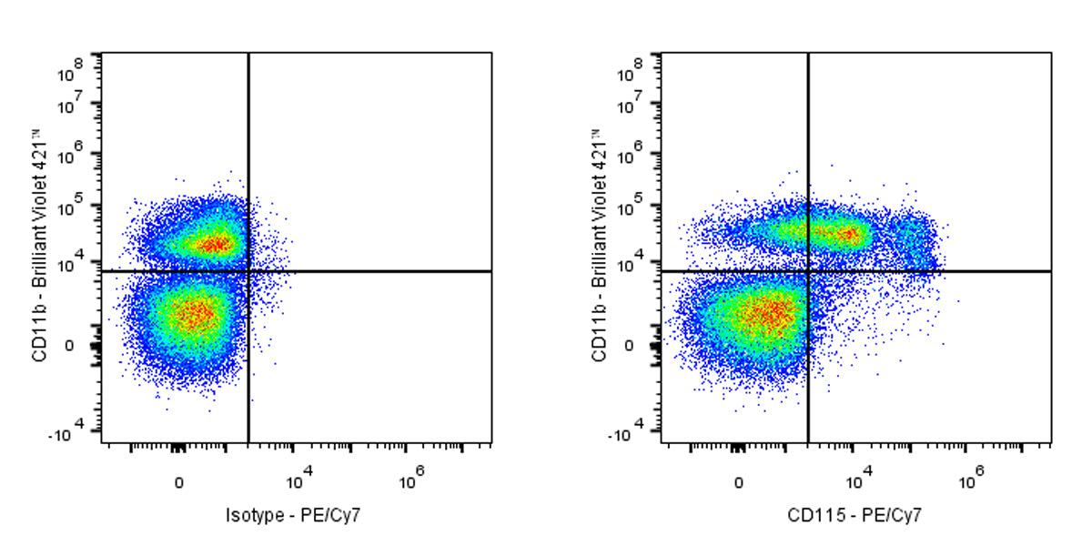 PE-Cy7 Rat Anti-Mouse CD115 Antibody (AFS98)