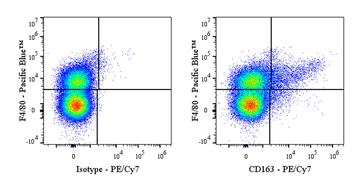 PE-Cy7 Rat Anti-Mouse CD163 Antibody (S-R608)