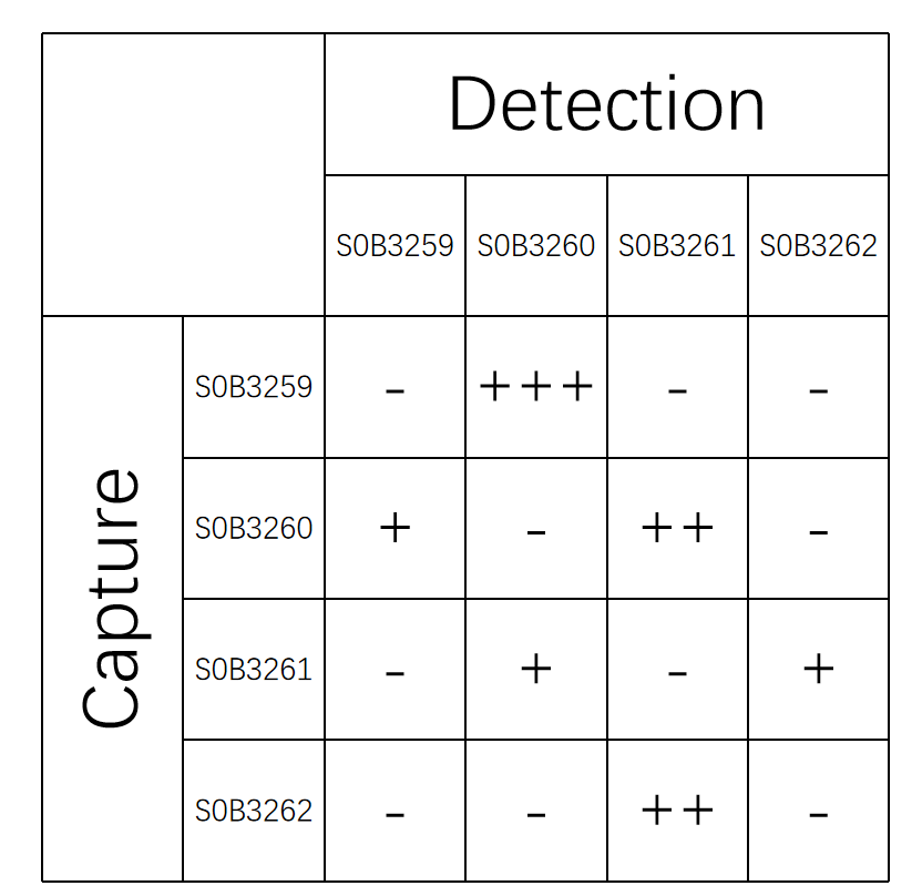 IL-5 Recombinant Rabbit mAb (SDT-223-74)